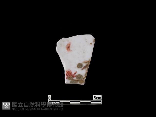 帶紋飾瓷片藏品圖，第1張