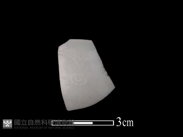 帶紋飾瓷片藏品圖，第1張