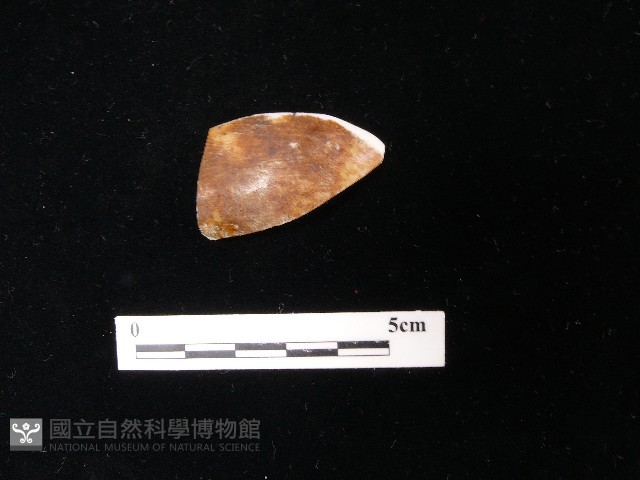 湯匙藏品圖，第1張