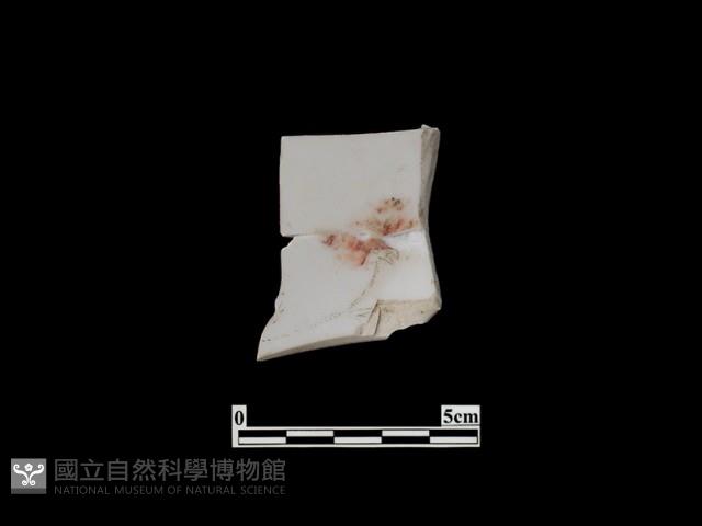 帶紋飾瓷片藏品圖，第1張