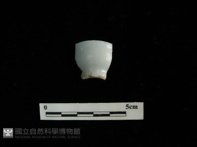 瓷杯藏品圖，第1張