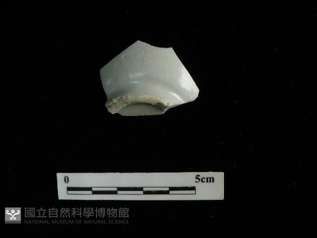 瓷杯藏品圖，第1張