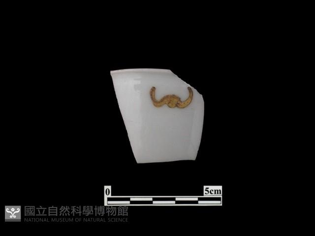 帶紋飾瓷片藏品圖，第1張