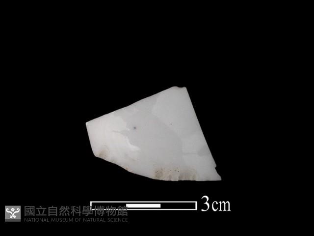 帶紋飾瓷片藏品圖，第1張