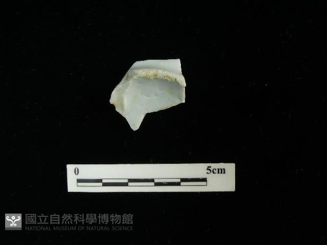 瓷片藏品圖，第1張