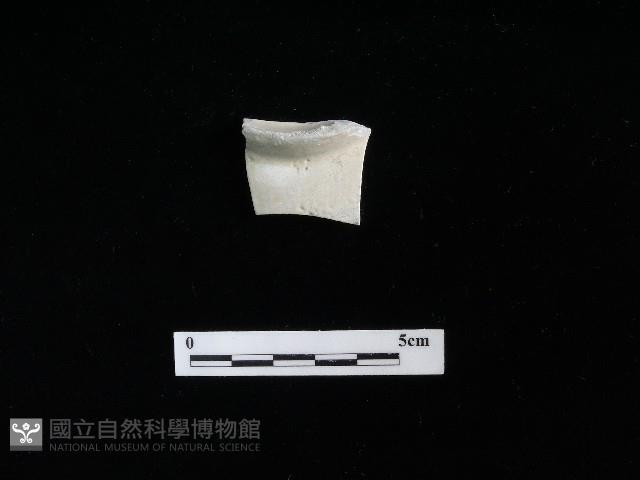 瓷碗藏品圖，第1張