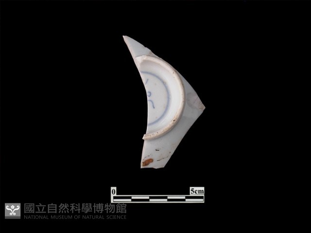 帶紋飾瓷片藏品圖，第1張