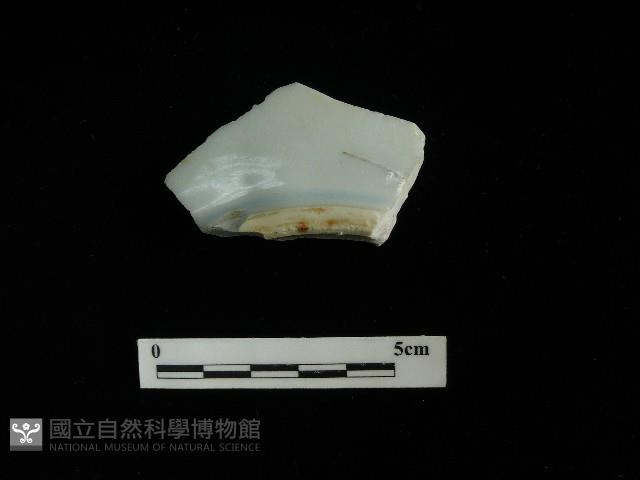 瓷盤藏品圖，第2張