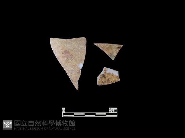 帶紋飾瓷片藏品圖，第2張