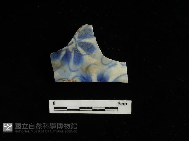 瓷片藏品圖，第2張