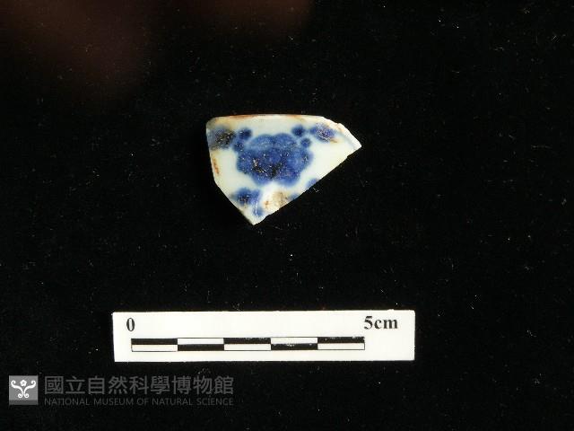 瓷片藏品圖，第1張