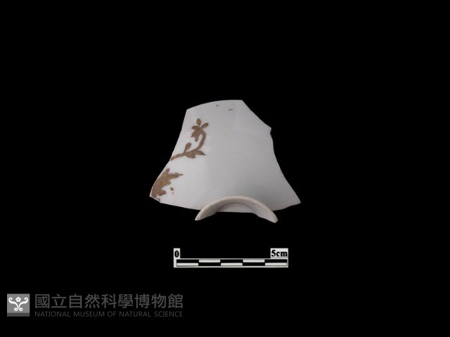 帶紋飾瓷片藏品圖，第1張