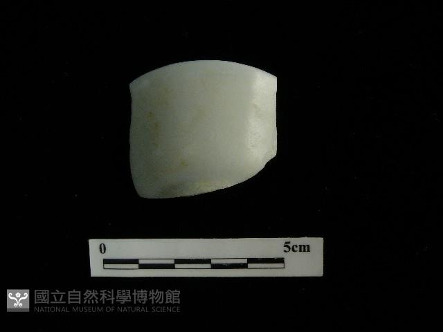 瓷杯藏品圖，第2張