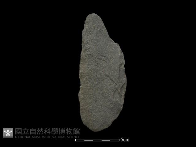 斧鋤形器藏品圖，第1張