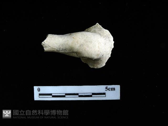壺嘴藏品圖，第2張