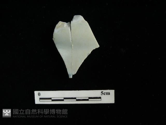 瓷盤藏品圖，第2張