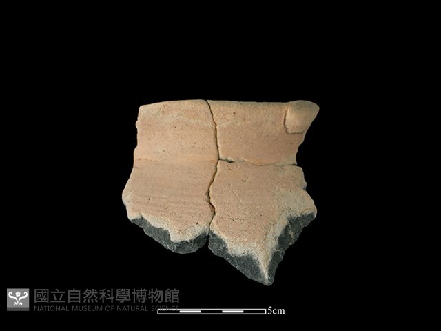 陶罐藏品圖，第1張