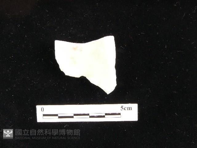 瓷片藏品圖，第3張