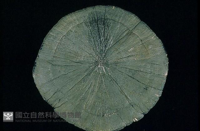 黃鐵礦藏品圖，第1張