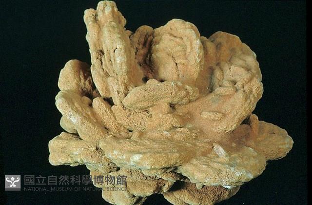 重晶石藏品圖，第1張