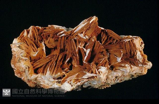 重晶石藏品圖，第1張