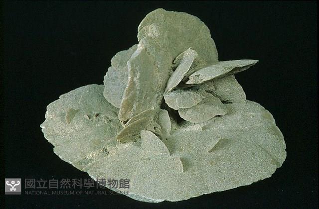 石膏/沙漠玫瑰 藏品圖，第1張