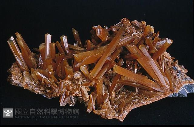透石膏/石膏藏品圖，第1張