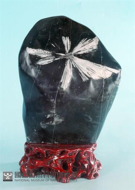 菊花石藏品圖，第1張