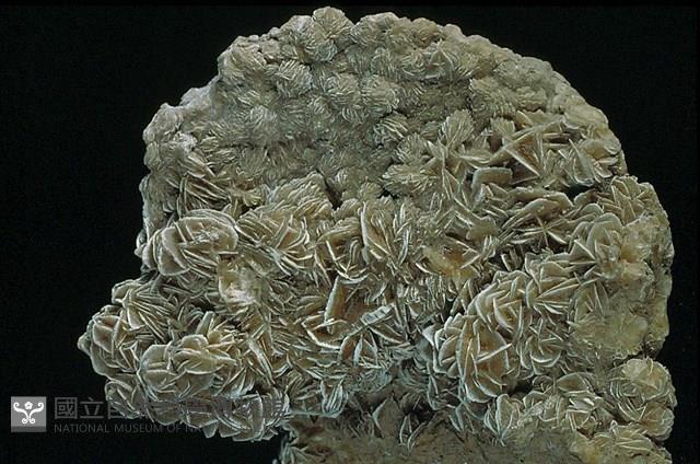 石膏藏品圖，第6張