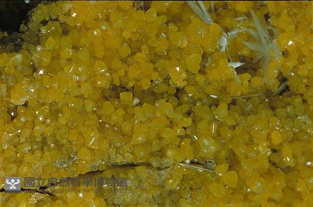 硫磺/透石膏藏品圖，第6張
