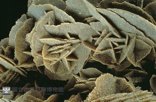 石膏藏品圖，第4張