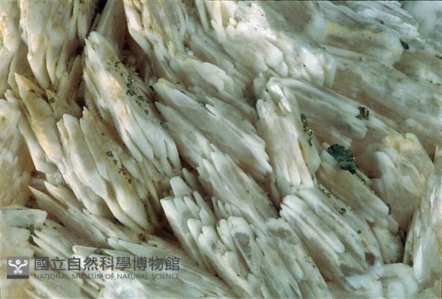 重晶石/黃鐵礦藏品圖，第2張