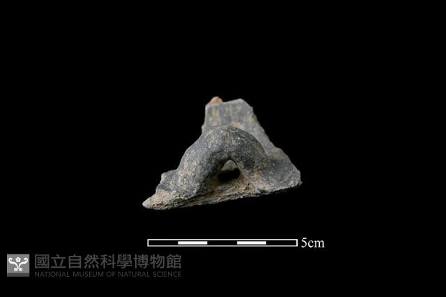 陶蓋鈕藏品圖，第1張