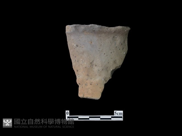 陶片藏品圖，第2張