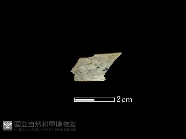 玉環藏品圖，第1張