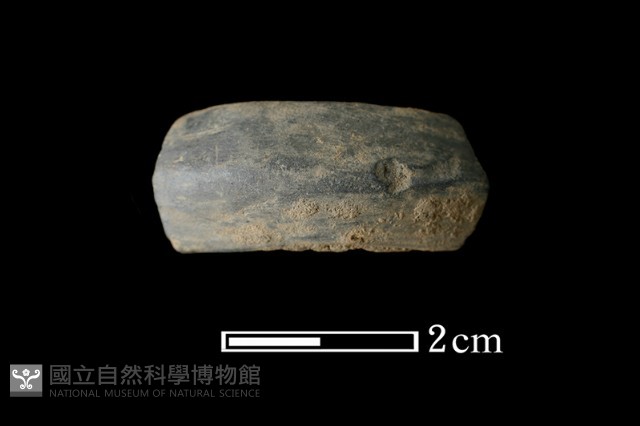 陶環藏品圖，第2張