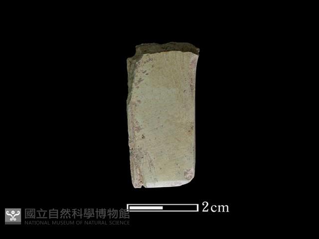 矛鏃形器藏品圖，第2張