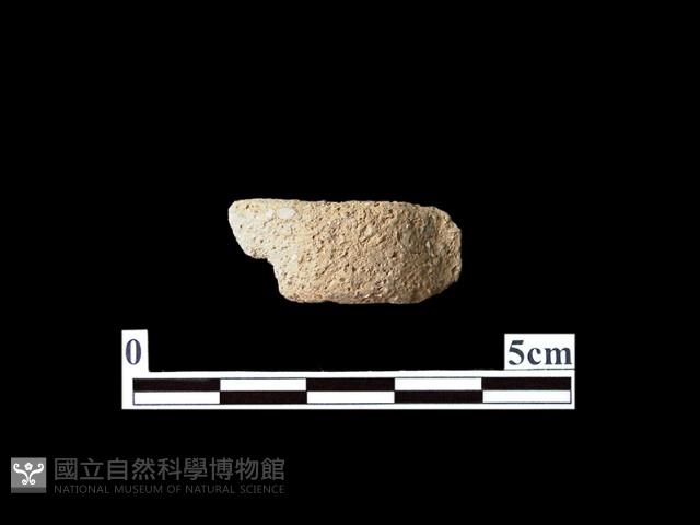 陶耳藏品圖，第1張