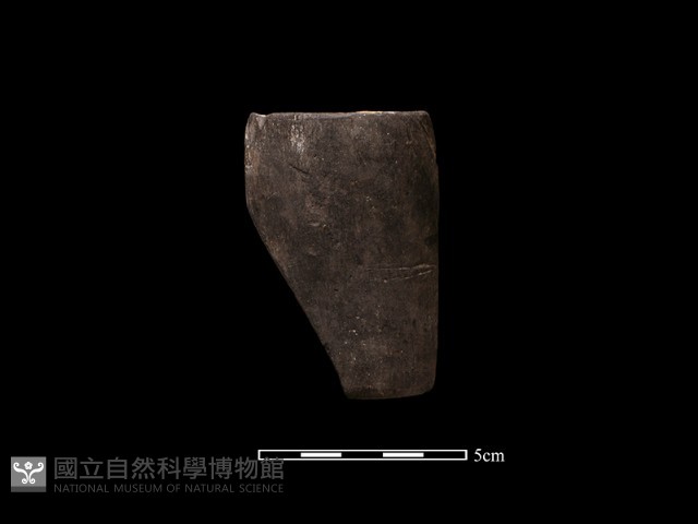 陶環藏品圖，第1張