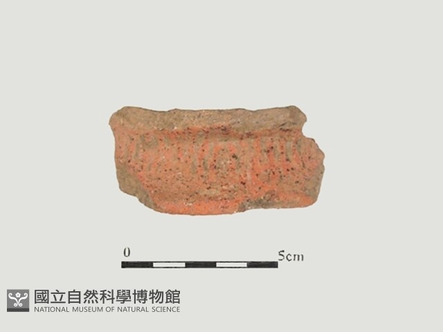 陶片藏品圖，第2張