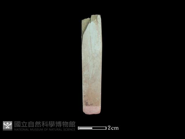 錛鑿形器藏品圖，第1張