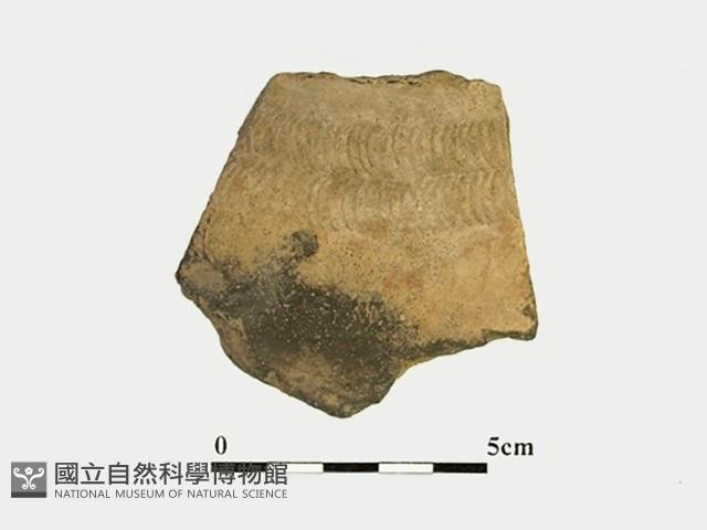 陶片藏品圖，第2張