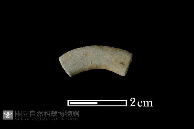陶環藏品圖，第1張