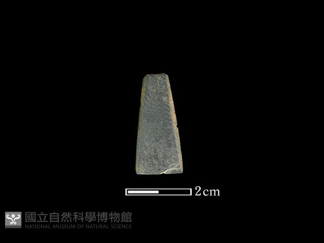矛鏃形器藏品圖，第1張
