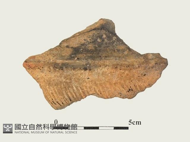 陶片藏品圖，第1張