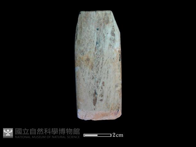 錛鑿形器藏品圖，第2張
