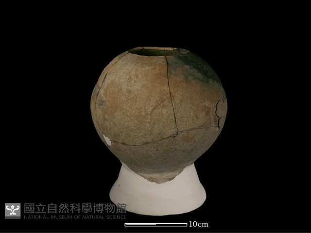 豆形器藏品圖，第2張
