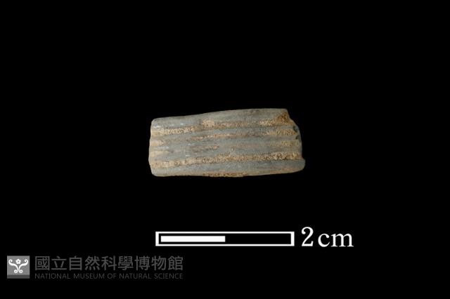 陶環藏品圖，第1張