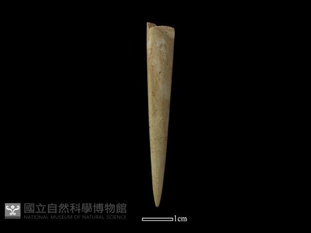 石器藏品圖，第1張