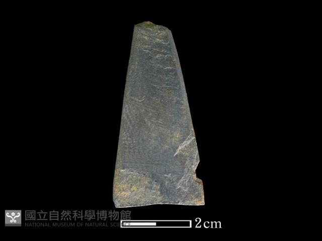 矛鏃形器藏品圖，第2張